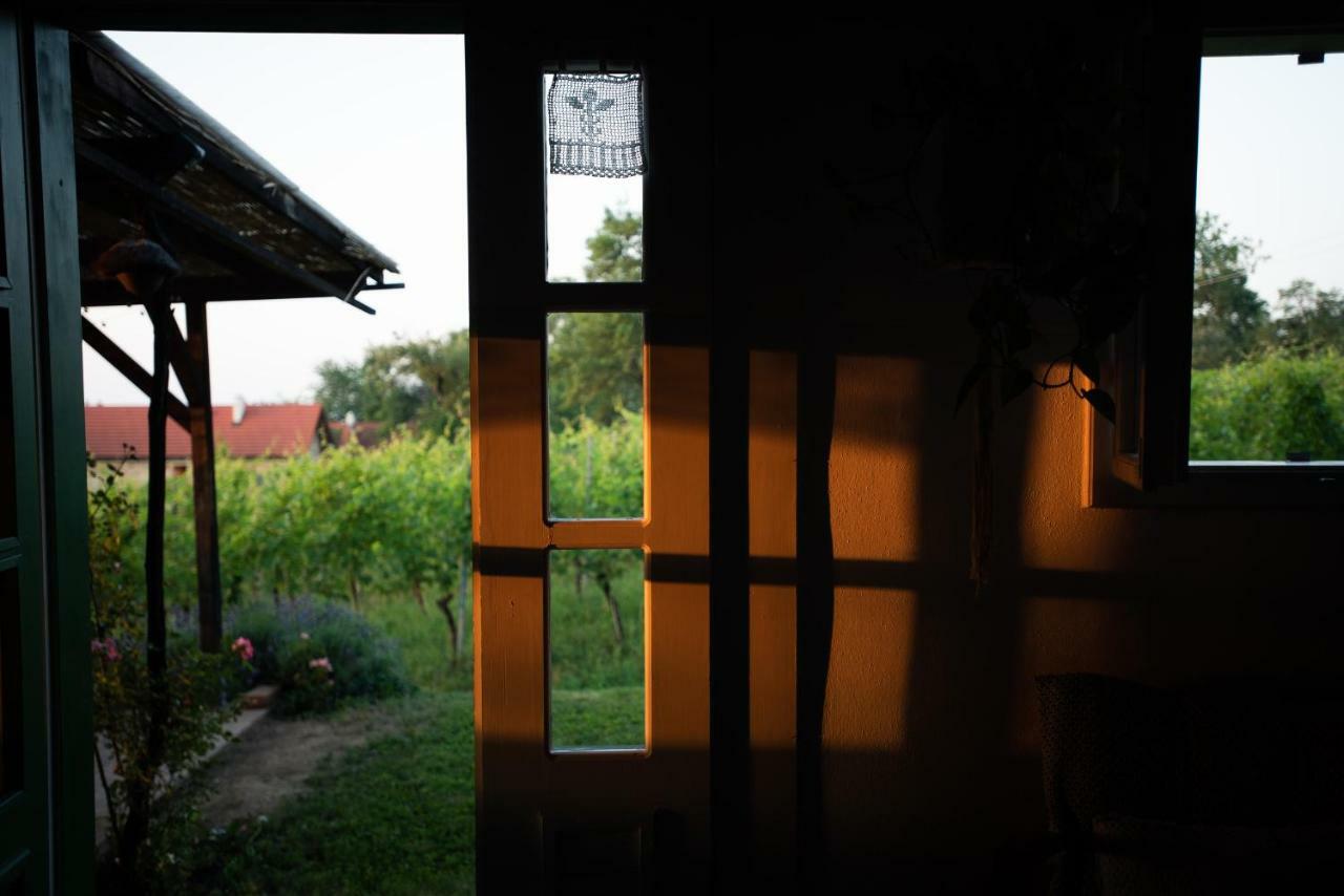Weingarten Lodge Winten  Dış mekan fotoğraf