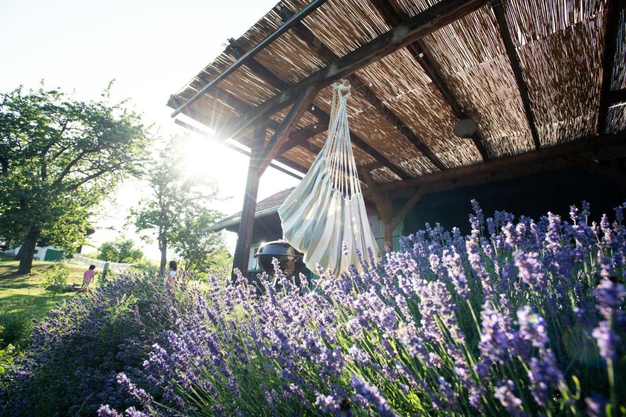 Weingarten Lodge Winten  Dış mekan fotoğraf