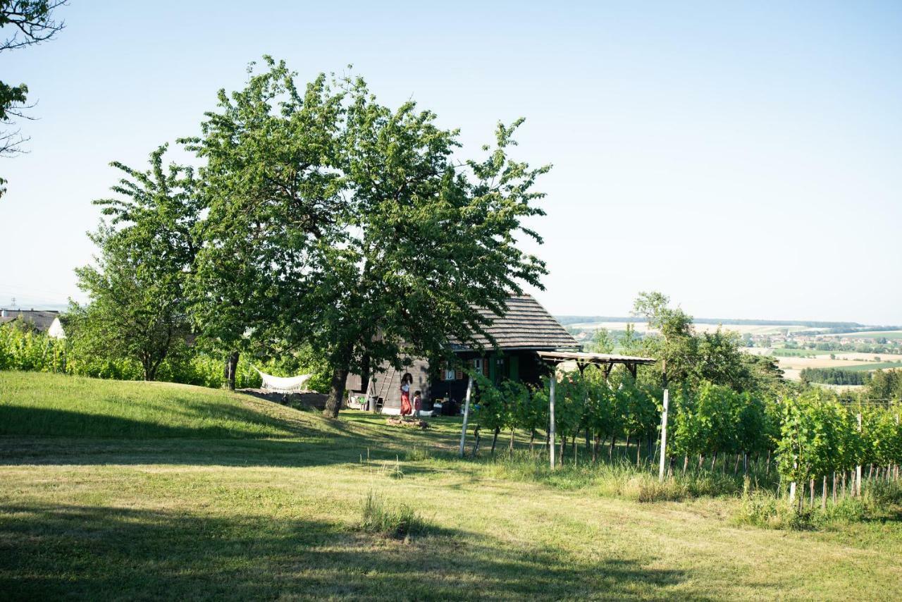 Weingarten Lodge Winten  Dış mekan fotoğraf